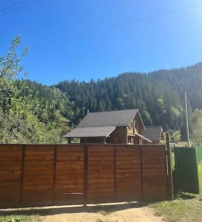 думанія Lägenhet Verchovyna